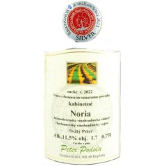 Peter Podola Noria 2022