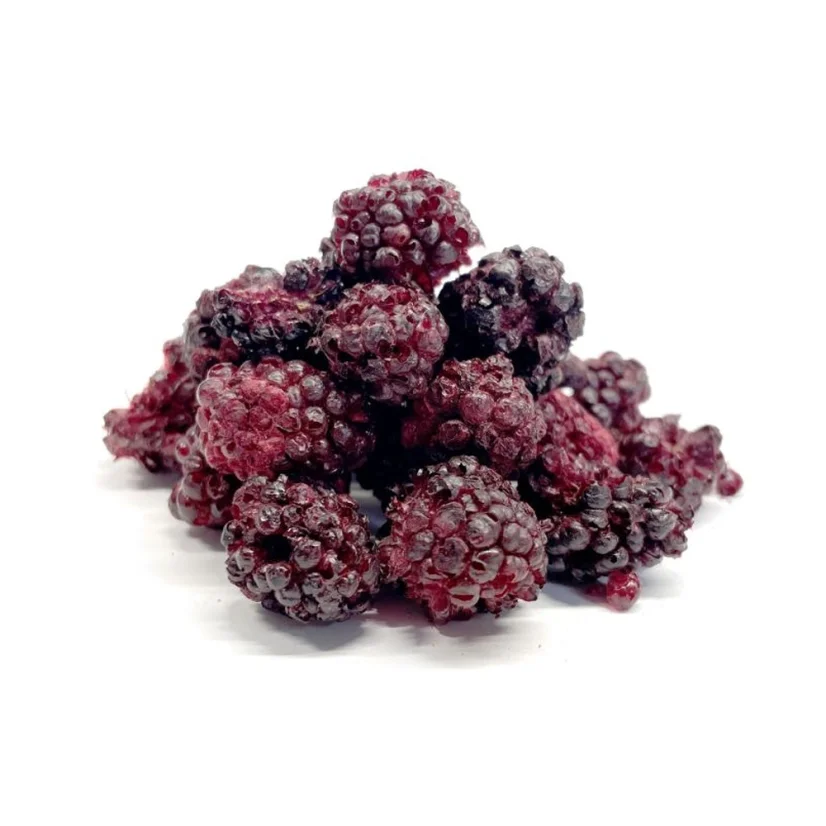 mrazom sušené černice - celé