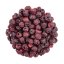 Lyofilizované višne - celé - Hmotnosť: 50g