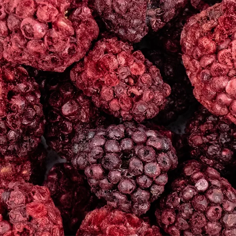 mrazom sušené černice - celé drinkbox.sk